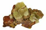 Yellow-Green Austinite Crystal Formation - Durango, Mexico #154718-1
